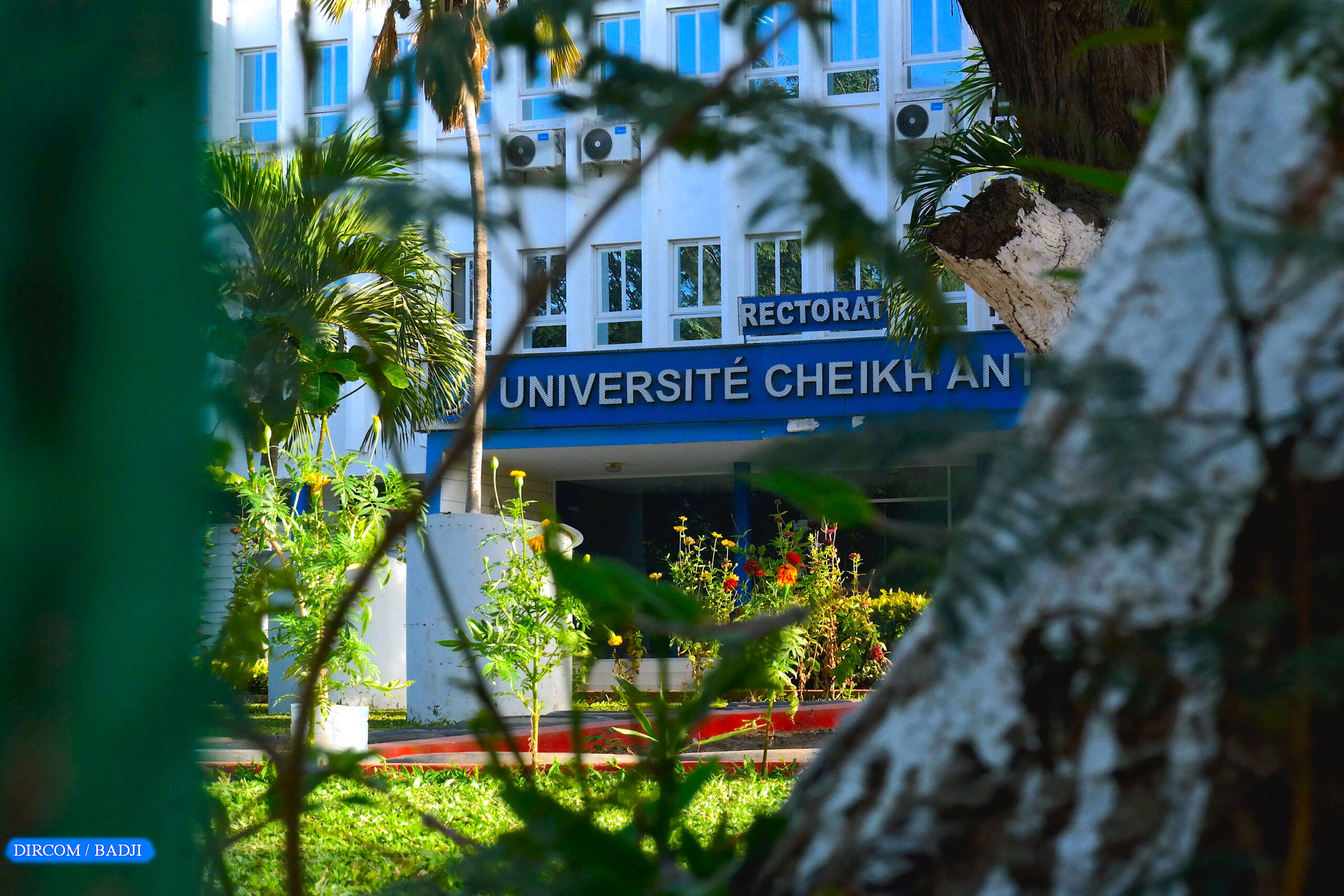 Université Cheikh Anta Diop de Dakar (UCAD)